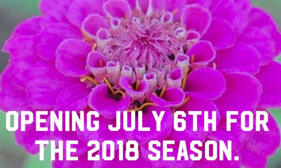 Opening Day July 6th!