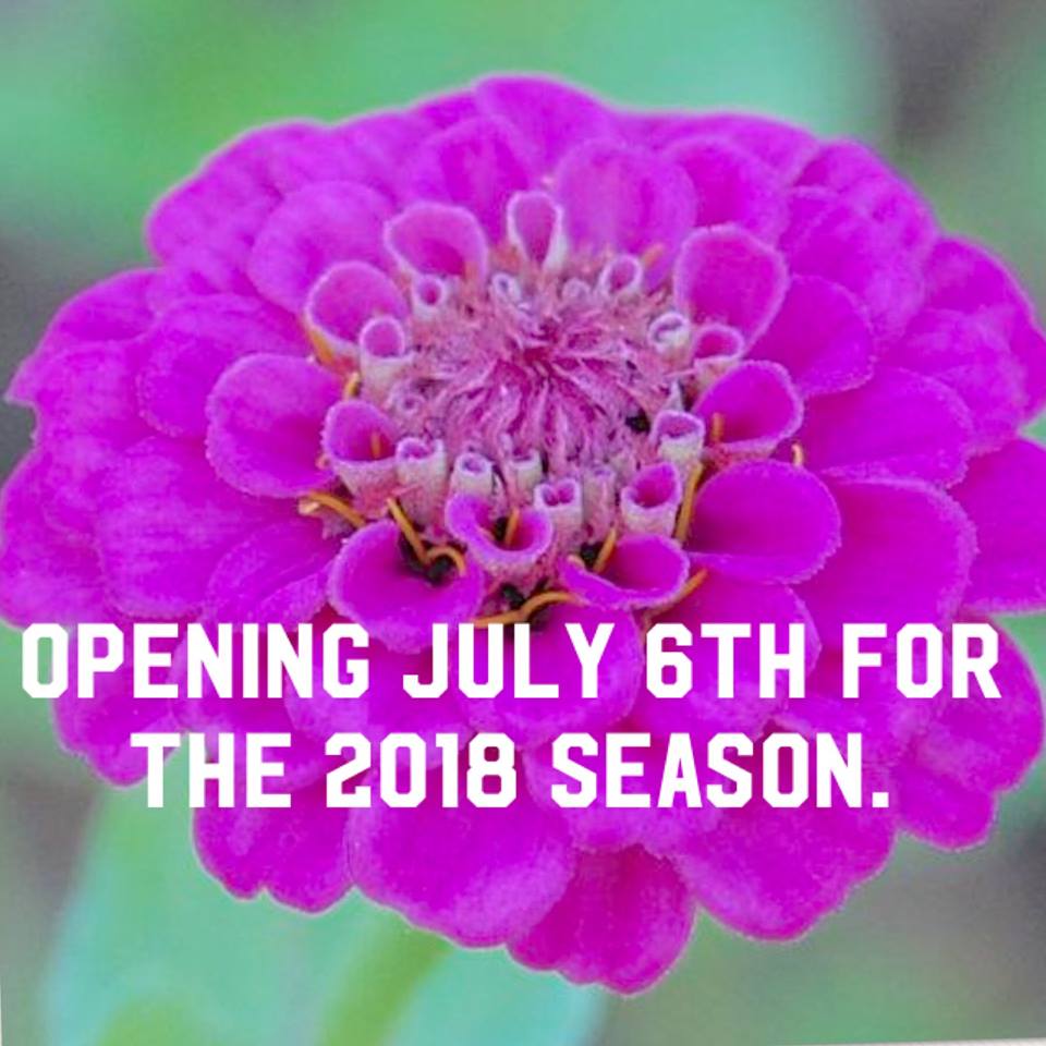 Opening Day July 6th